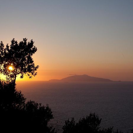 Il Giardino Dell'Arte Bed & Breakfast Anacapri  Exterior photo