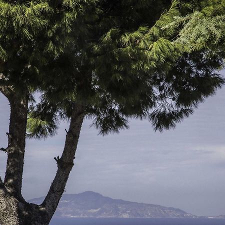 Il Giardino Dell'Arte Bed & Breakfast Anacapri  Exterior photo