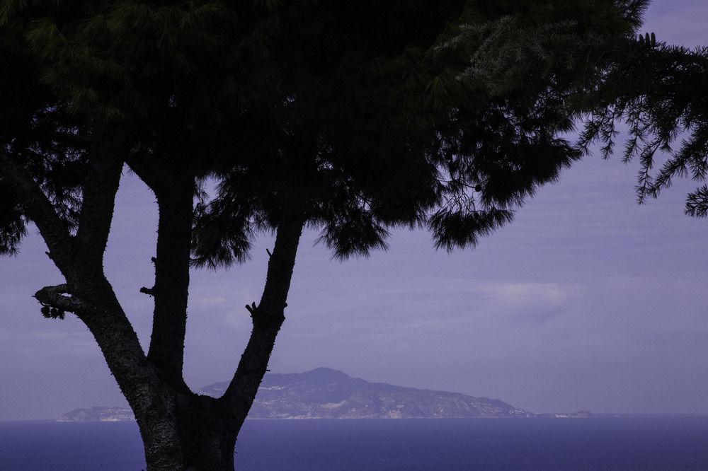 Il Giardino Dell'Arte Bed & Breakfast Anacapri  Exterior photo