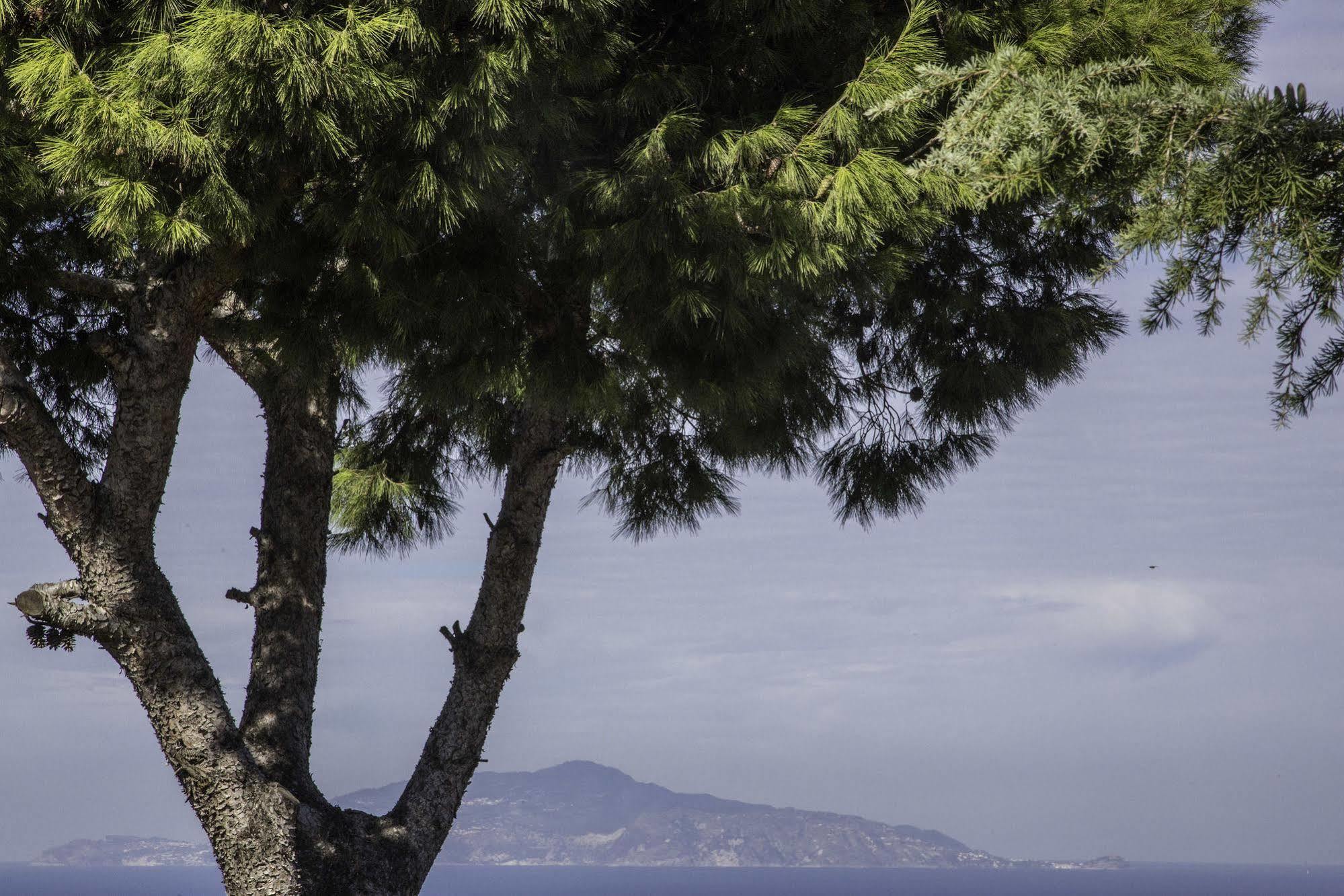 Il Giardino Dell'Arte Bed & Breakfast Anacapri  Exterior photo