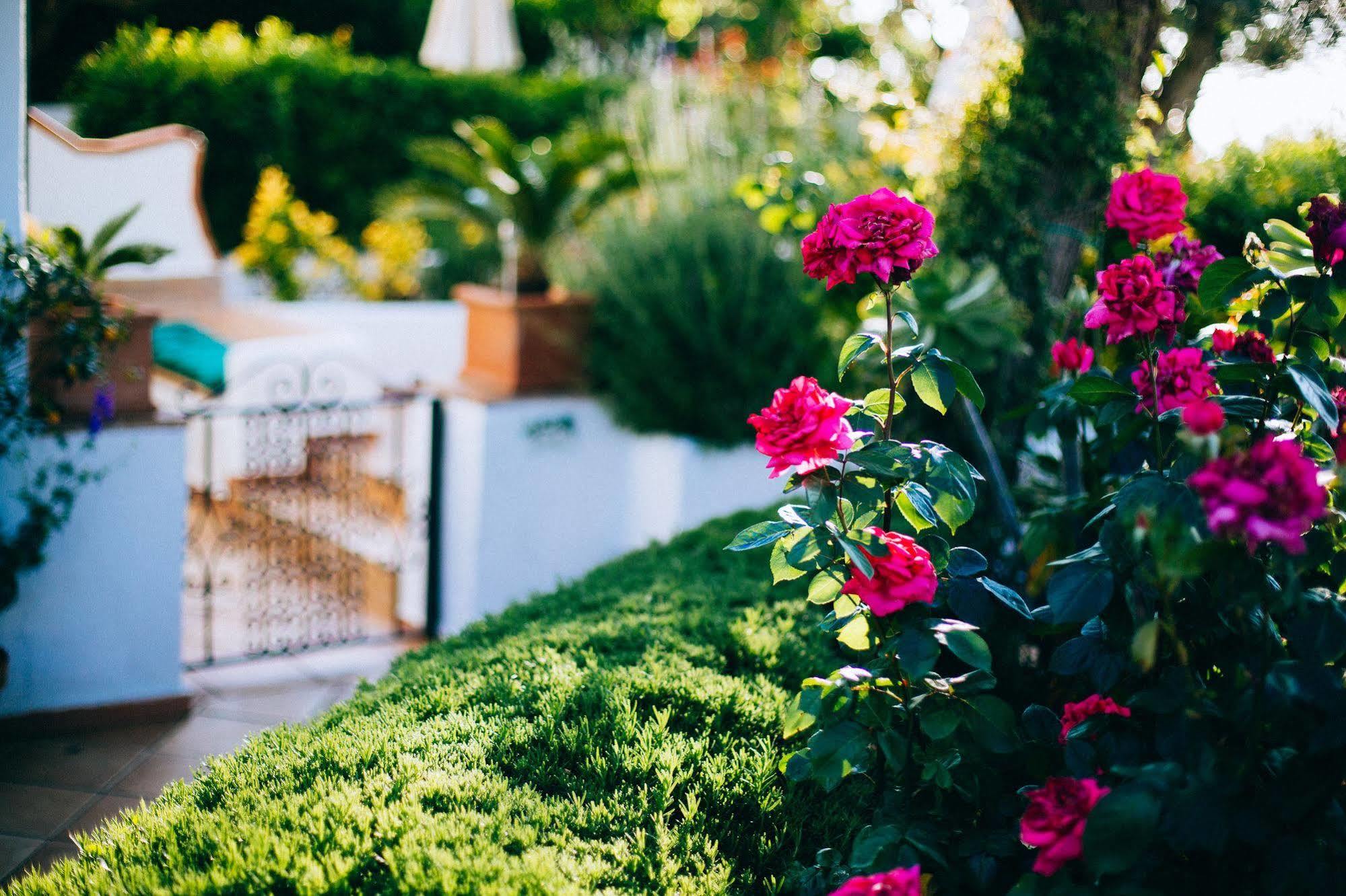 Il Giardino Dell'Arte Bed & Breakfast Anacapri  Exterior photo