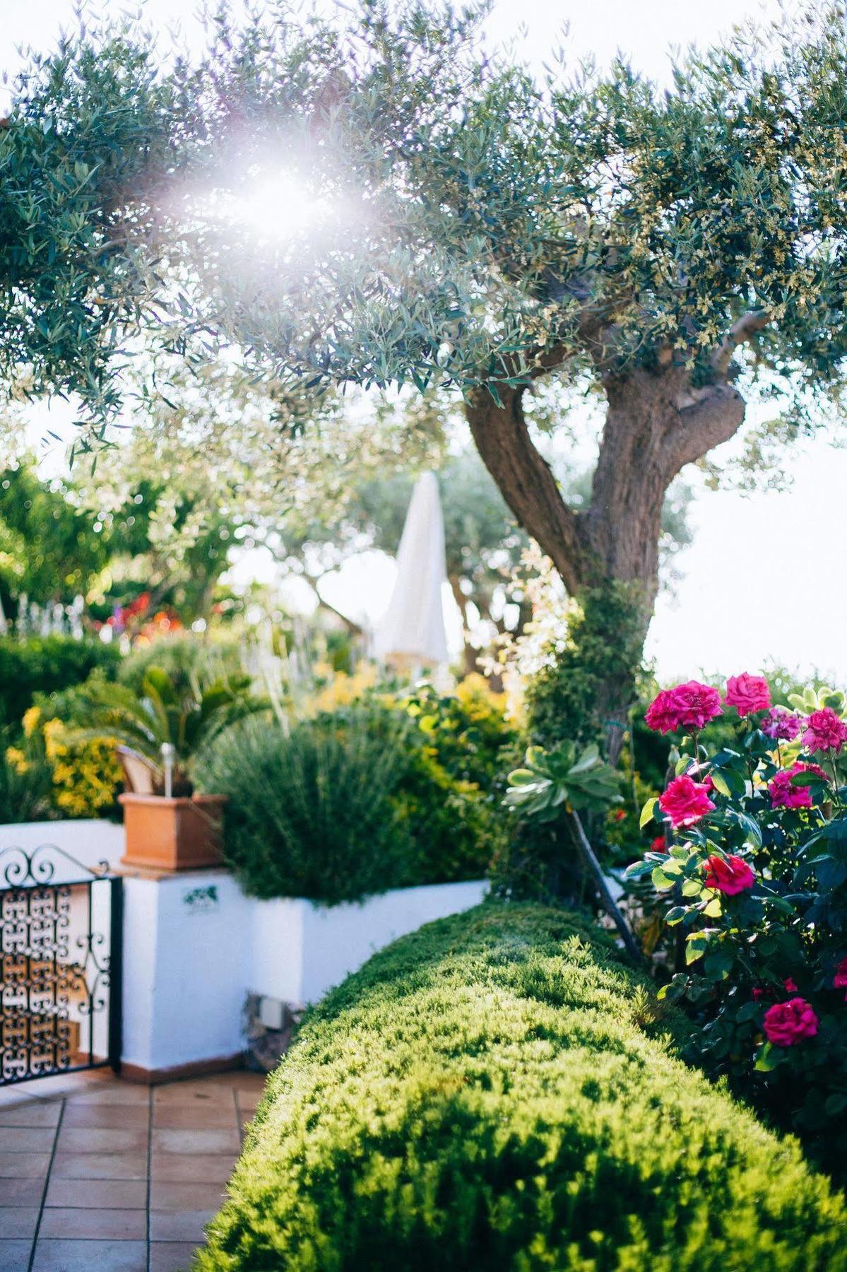 Il Giardino Dell'Arte Bed & Breakfast Anacapri  Exterior photo